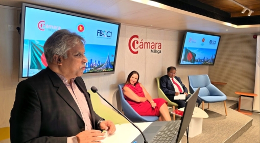 FBCCI, Malaga Chamber Eye Deeper Trade & Tech Ties